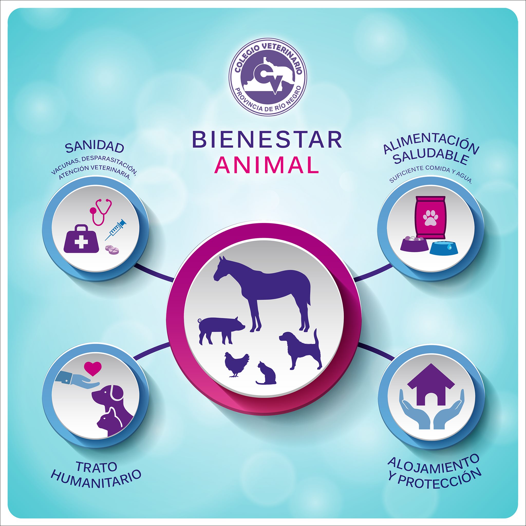 Bienestar Animal Colegio Veterinario Rio Negro